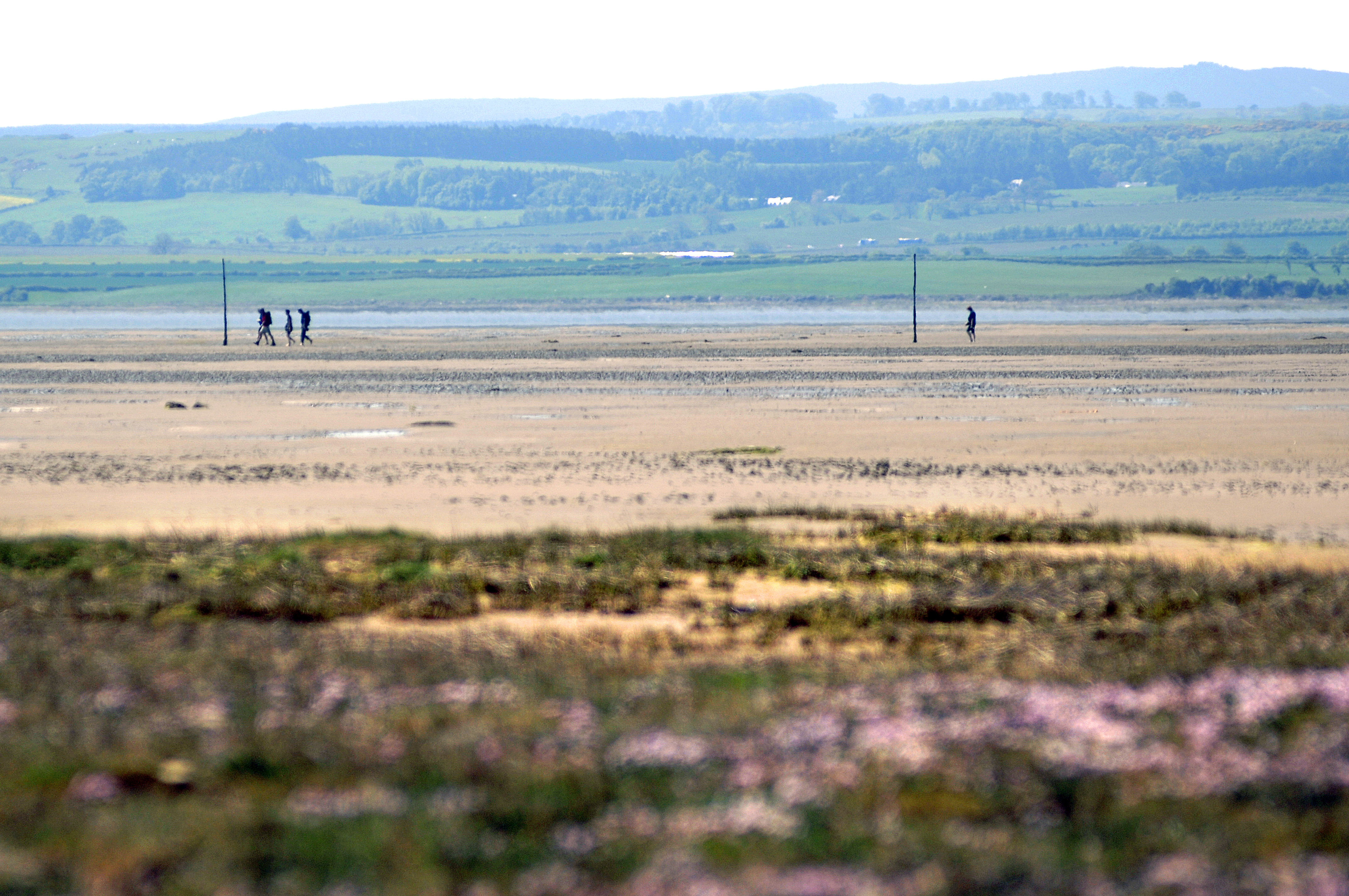 Image for Stop press Lindisfarne invaded by Vikings again